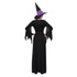 1 set female halloween witch plus size long dress terror costume autumn winter party dresses(with bib and hat)